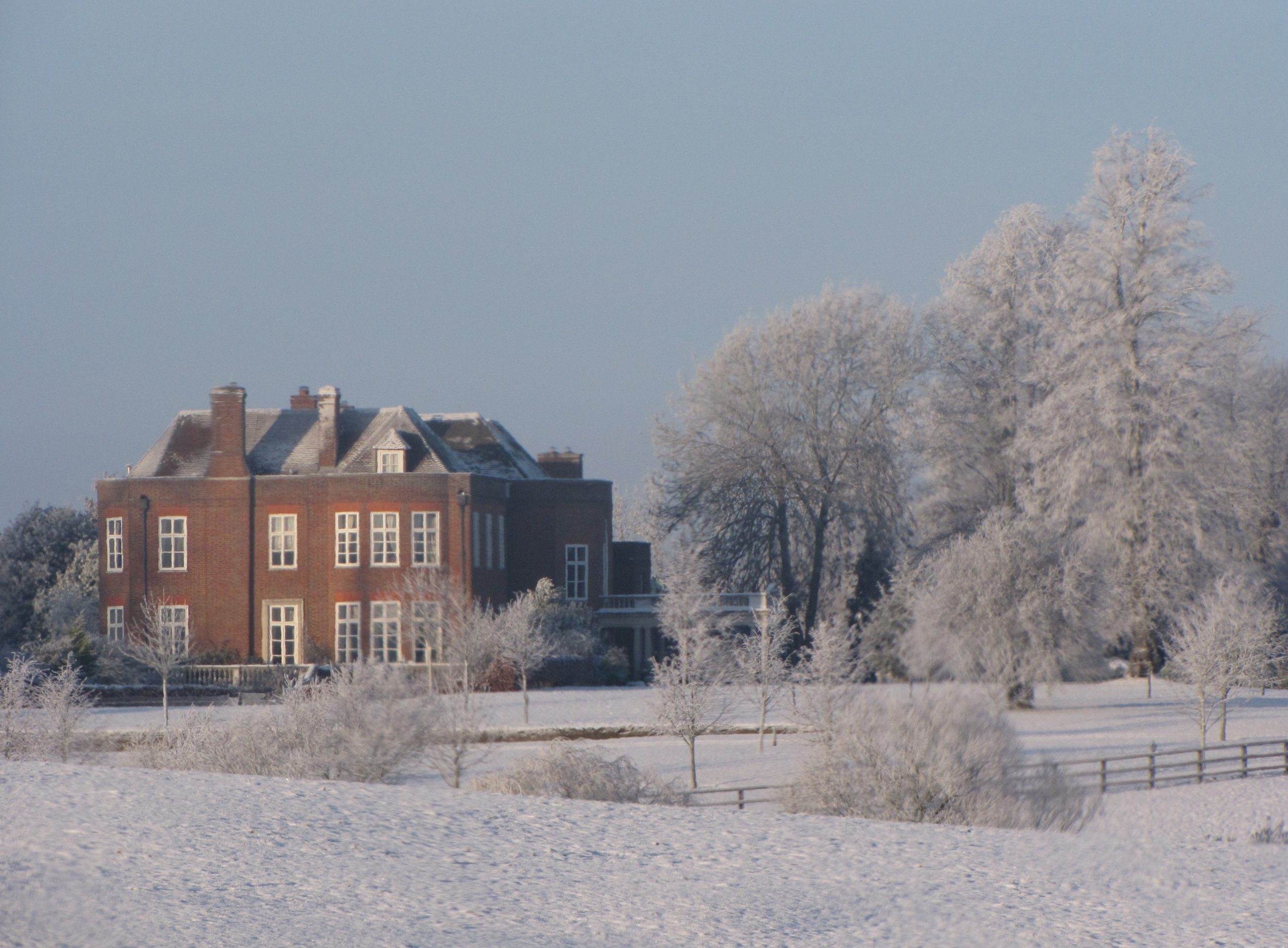 Christmas Drinks - Image 2