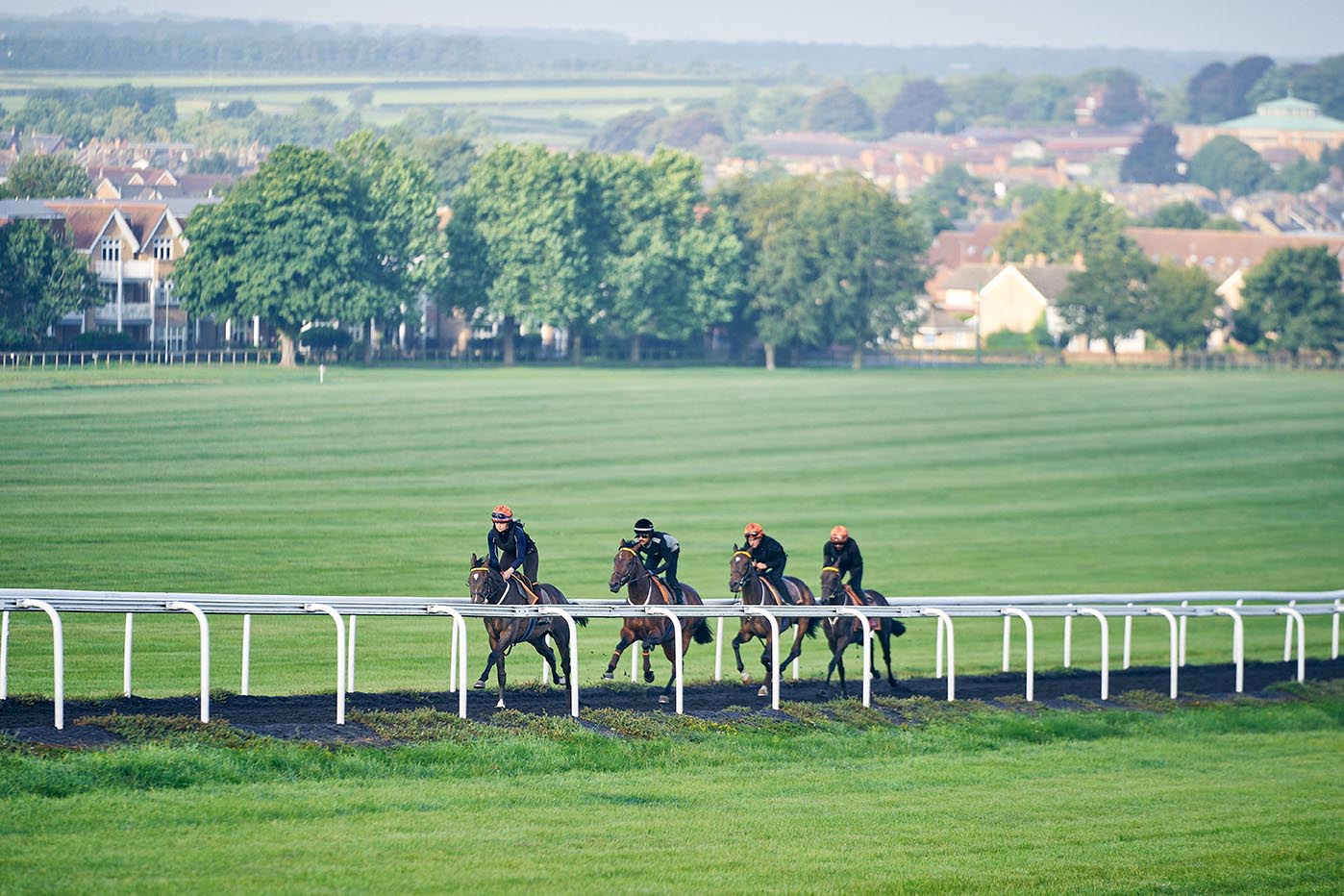 Gallops Experience - Image 2