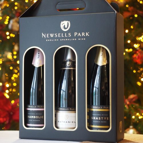 Gift set with wine