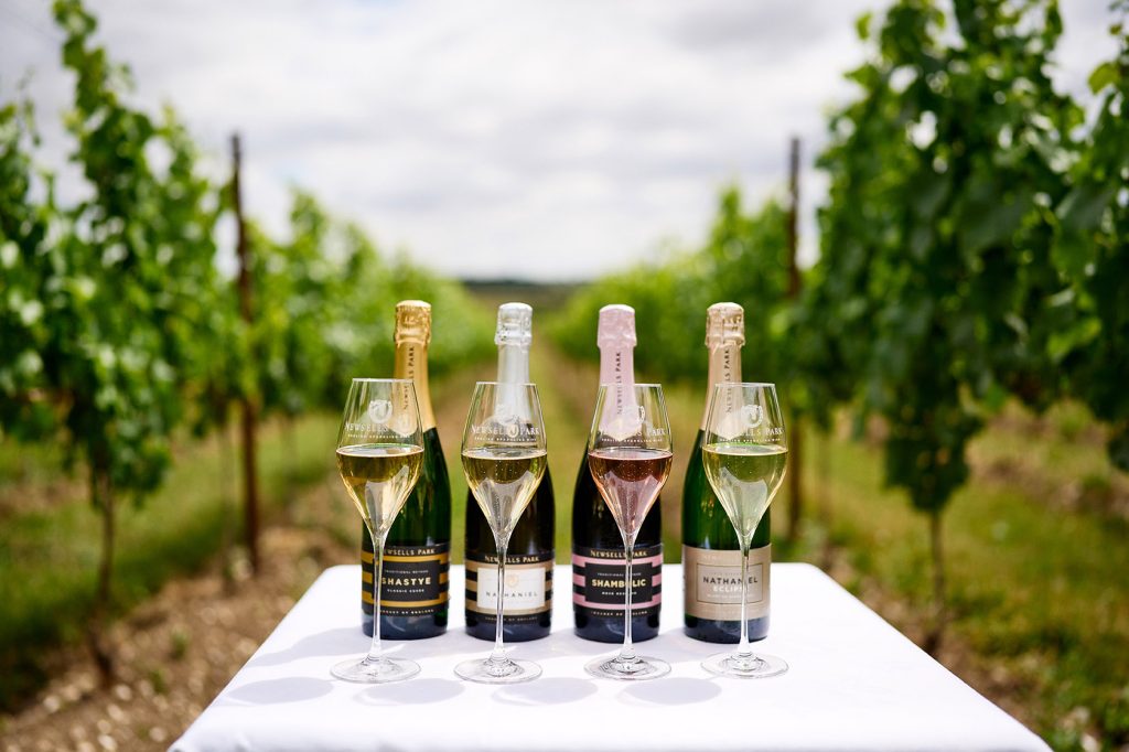 Sparkling Wine Flutes – Box of 6