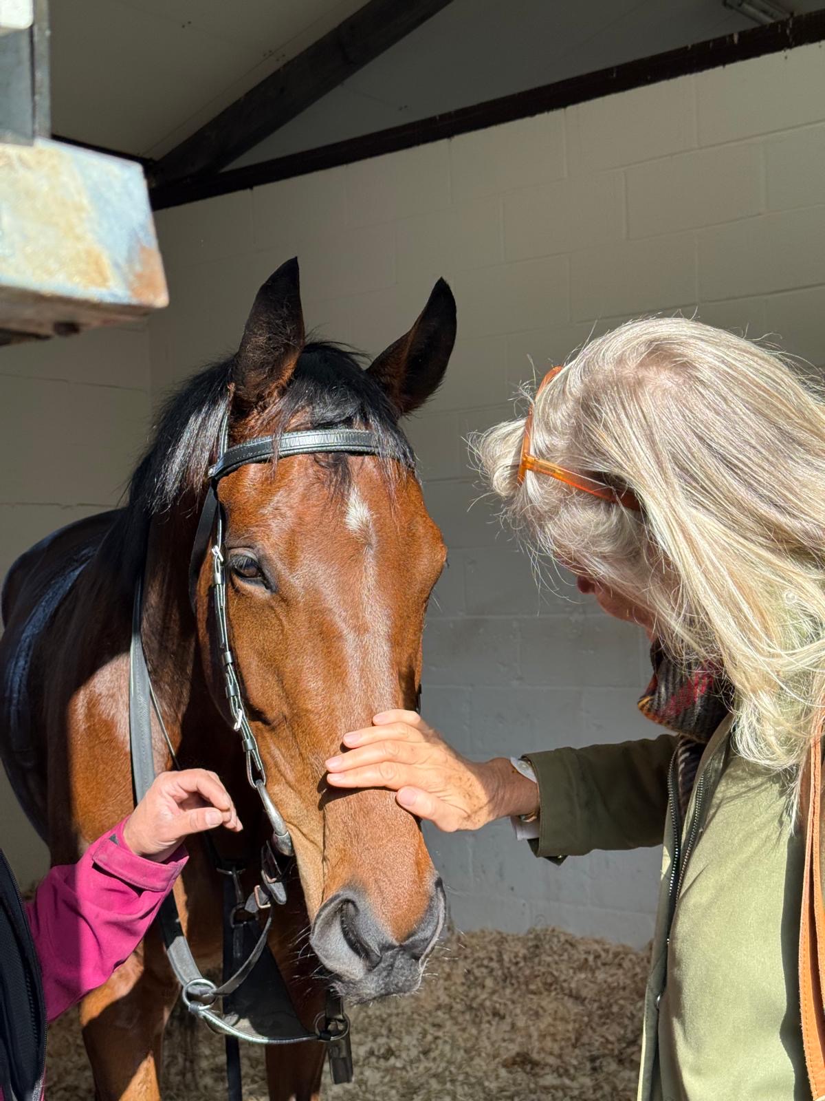 Gallops Experience in March - Image 3