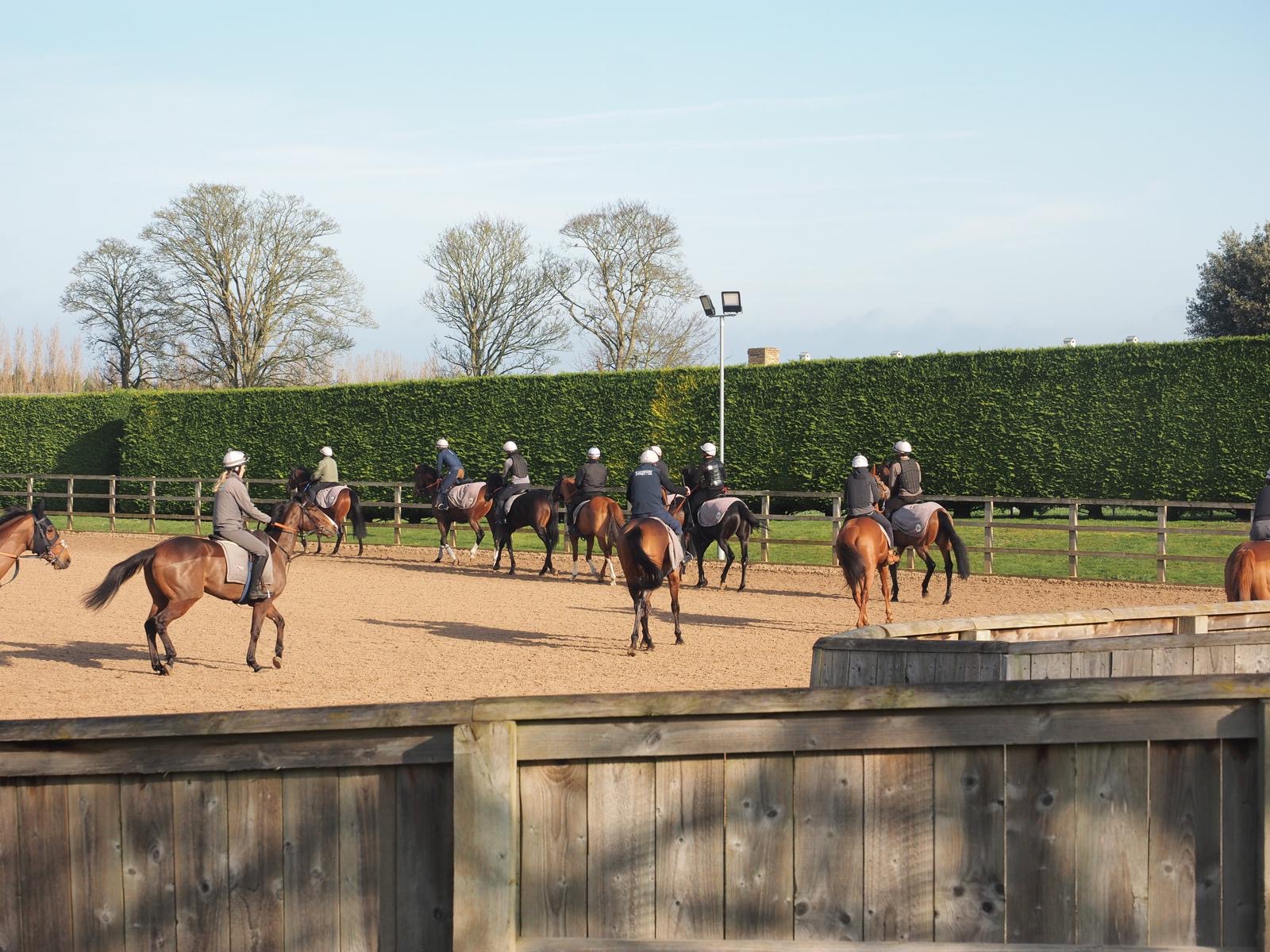 Gallops Experience in March - Image 4